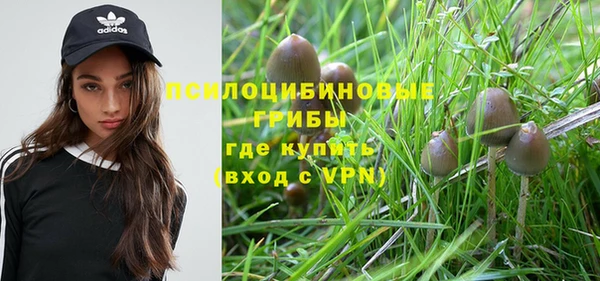 дживик Новозыбков