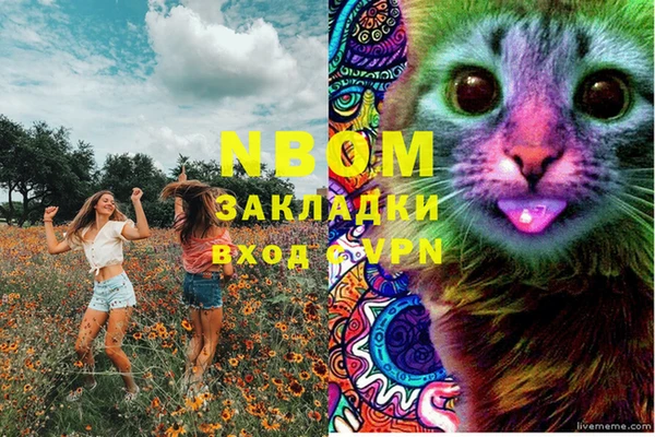 дживик Новозыбков