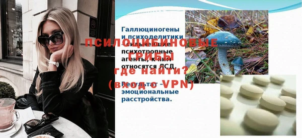 молекула духа Нягань
