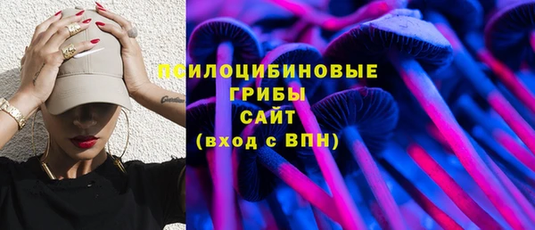 не бодяженный Нязепетровск