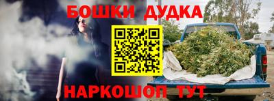 соль ск Дубна