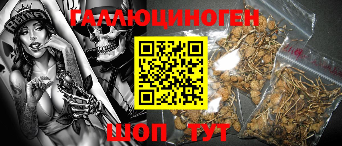 Галлюциногенные грибы GOLDEN TEACHER Татарск