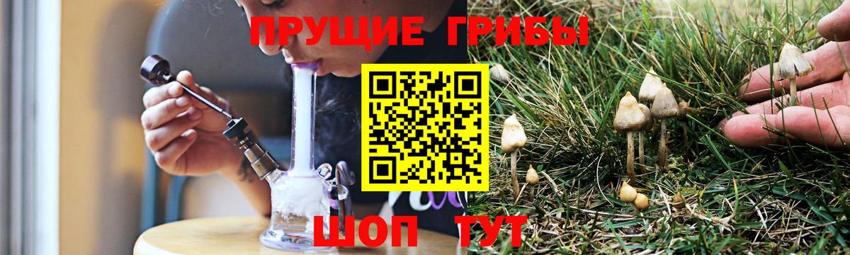 Татарск  Галлюциногенные грибы ЛСД  Галлюциногенные грибы Magic Shrooms  Вход с VPN 